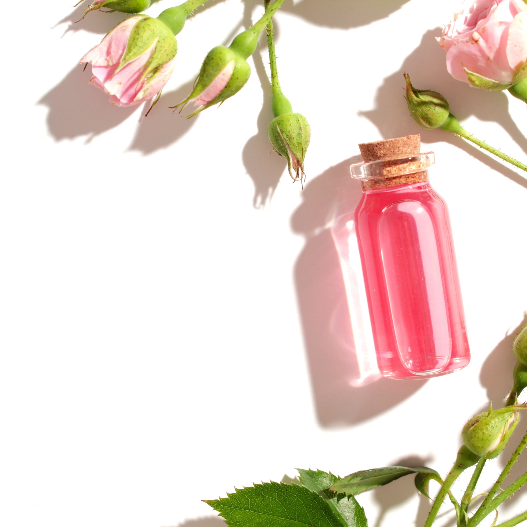 Les merveilleux bienfaits de l'eau de rose sur la peau