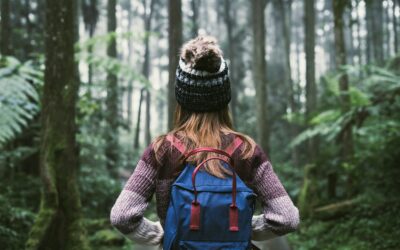 Bain de forêt : Profiter des bienfaits de la nature sur le corps et l’esprit