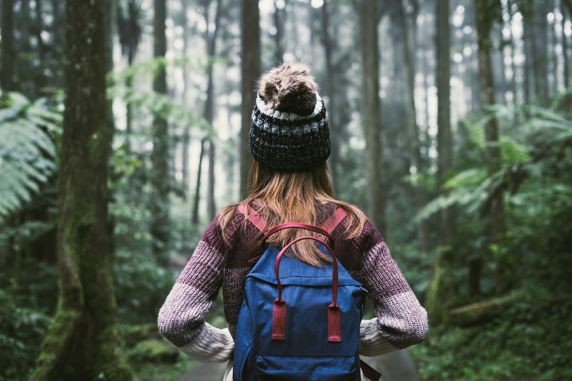 Les bienfaits des bain de forêt sur le corps et l'esprit