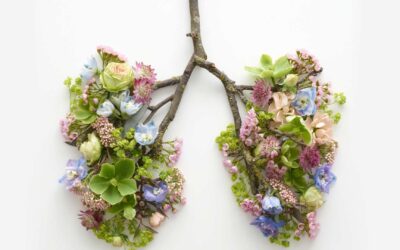 Techniques de respiration pour réduire l’anxiété.